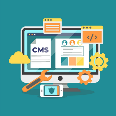 Custom CMS & Editorial Tools